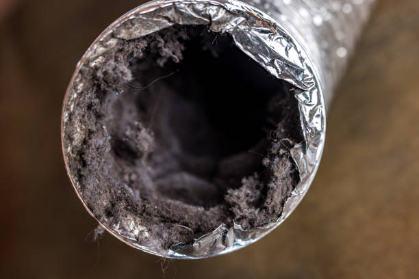 Best Local Air Duct Cleaning Services  in Ravensworth, VA