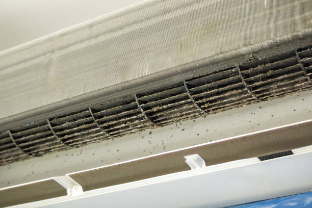 Best Air Duct Mold Removal  in Ravensworth, VA